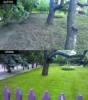 Hangya Kert - 