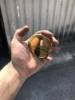 Kovcs Zoltn - 